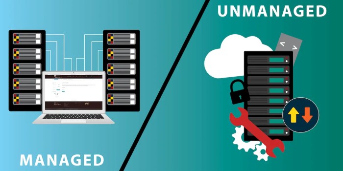 Managed Vs. Unmanaged Hosting – Explained 2020 Managed Vs. Unmanaged Hosting – Explained 2020