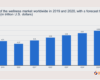 The Future of Wellness: Emerging Trends and Insights - YouTube
